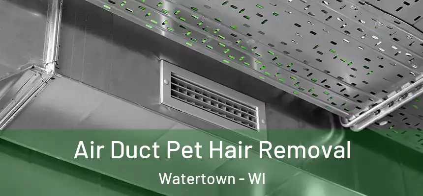  Air Duct Pet Hair Removal Watertown - WI