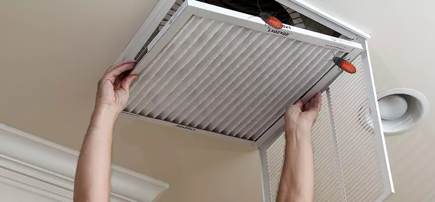 Preventive Cockroach-Proofing for Ducts in Watertown