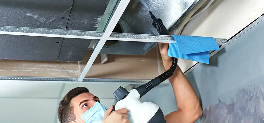 Our Air Duct Rodent Removal Services in Watertown, WI