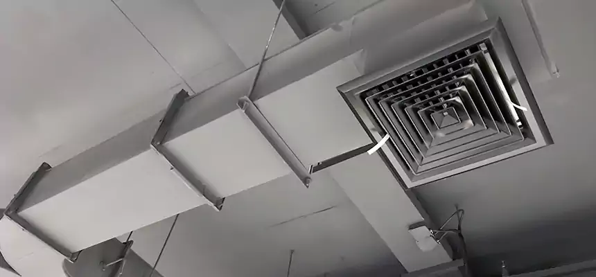 Restorative Allergy Relief Vent Cleaning – Coil, Blower & Housing Detail in Watertown