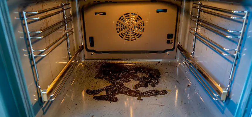 Our Dryer Vent Mold Cleaning Services in Watertown, WI