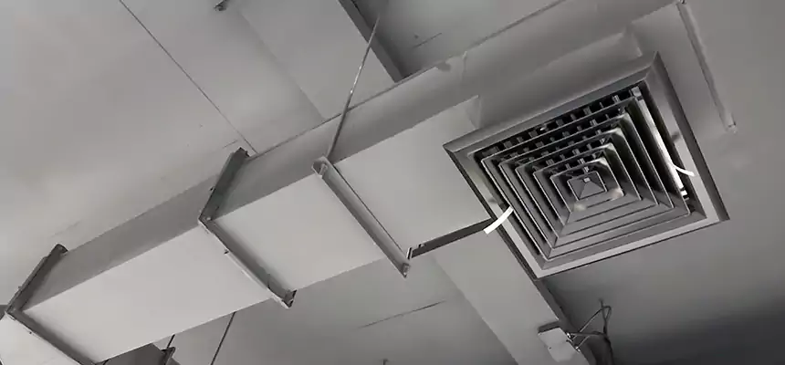 Our Rodent Droppings In Vents Services in Watertown, WI