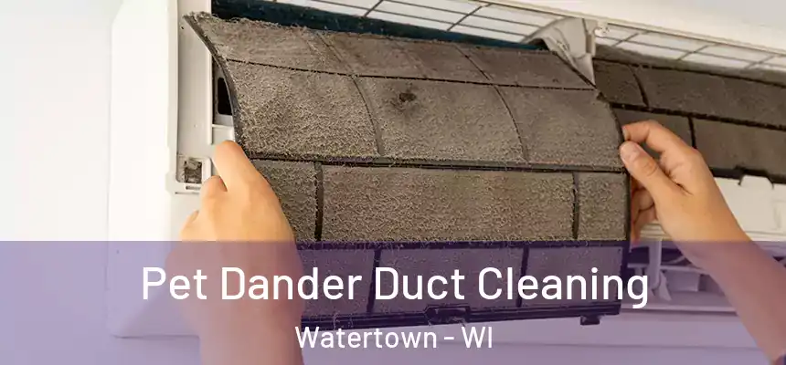 Pet Dander Duct Cleaning Watertown - WI